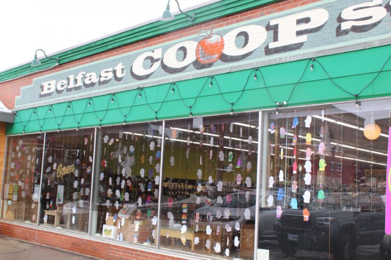 Mittens in the Window at Belfast Community Co-op Is Raising Money for the Belfast Coup Kitchen
