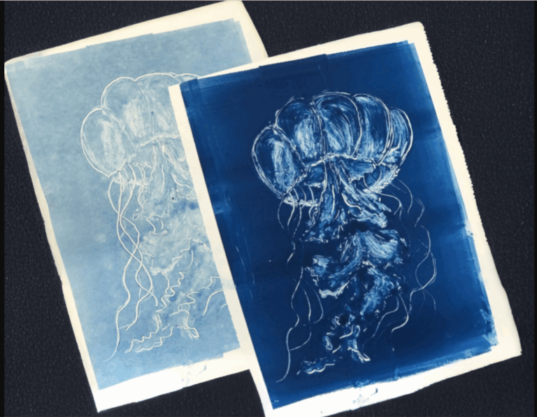 Falling Back in Love with Printmaking: Holly Grobholz
